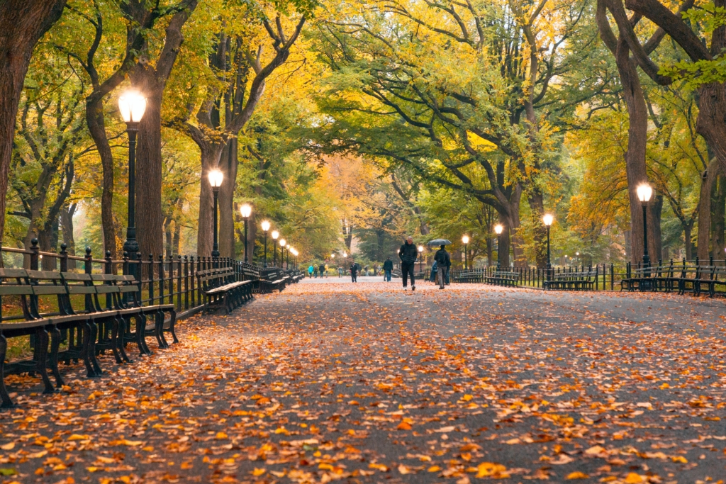 melhores parques em Nova York