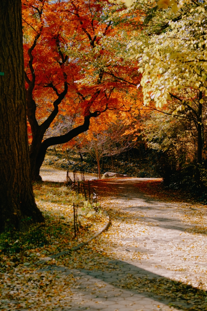 melhores parques em Nova York