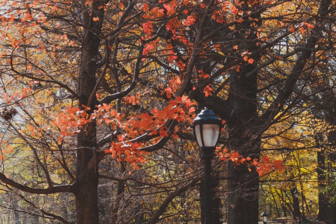 melhores parques em Nova York