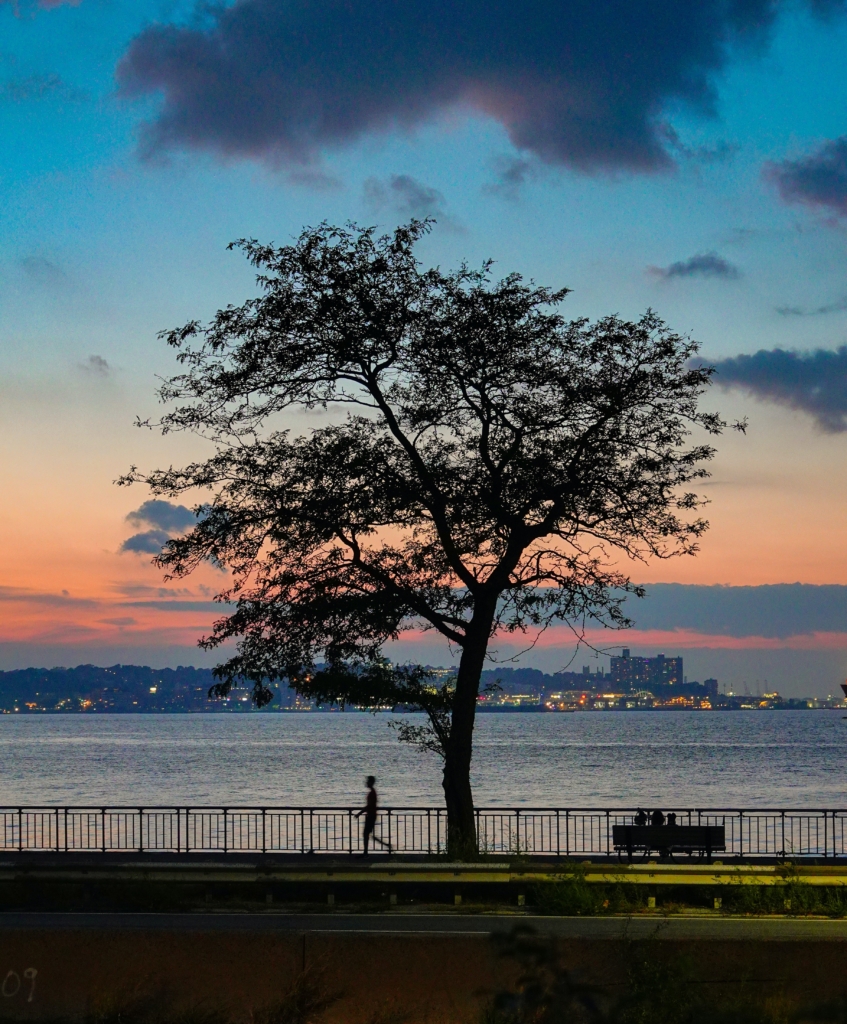 tempat untuk dilawati di brooklyn secara percuma