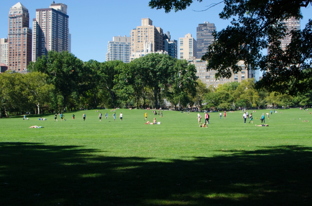 Las mejores vistas de Nueva York.