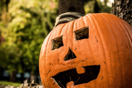 apa yang perlu dilakukan di nyc pada halloween