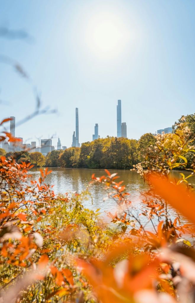 Herbst in New York